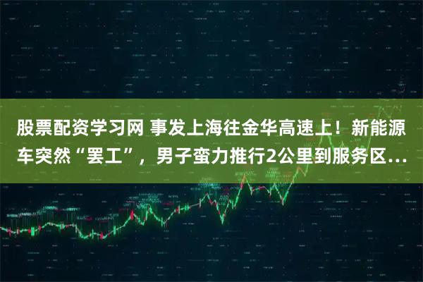 股票配资学习网 事发上海往金华高速上！新能源车突然“罢工”，男子蛮力推行2公里到服务区…