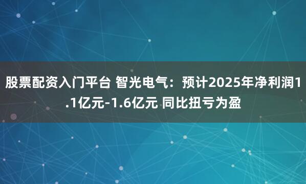 股票配资入门平台 智光电气：预计2025年净利润1.1亿元-1.6亿元 同比扭亏为盈
