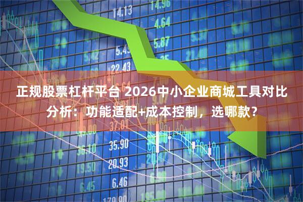 正规股票杠杆平台 2026中小企业商城工具对比分析：功能适配+成本控制，选哪款？